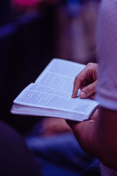 Cópia de Sem nome Cópia de Sem nome